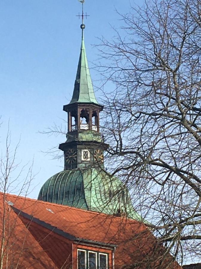 Willa P11 Vakantiehuis Friedrichstadt Zewnętrze zdjęcie